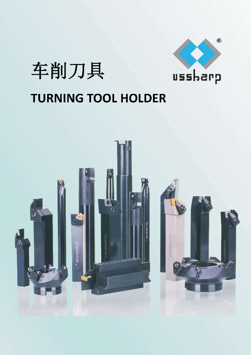 Описание изображения