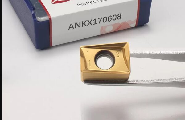 ANKX170608